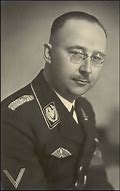 Image result for Heinrich Himmler TNO