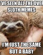 Image result for Busy Sloth Meme