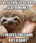 Image result for Funny Sloth Memes Appropriate