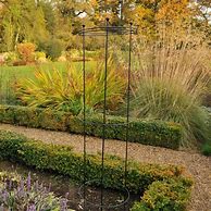 Image result for Tall Plant Supports for Garden