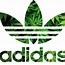 Image result for Adidas Icon 5
