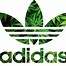 Image result for Yellow and White Striped Adidas Hoodie