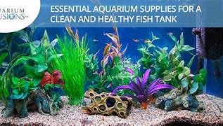 Image result for Aquarium Supplies
