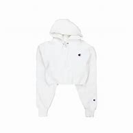 Image result for Baby Blue Cropped Hoodie
