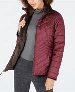 Image result for North Face Fleece Lined Jacket