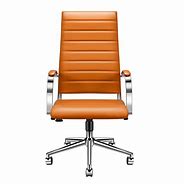 Image result for Fuzzy Desk Chair