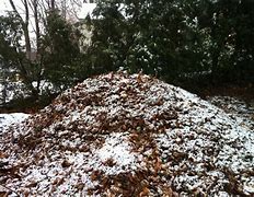 Image result for Composting in Winter