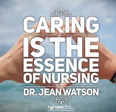 Image result for Quotes About Being a Good Nurse