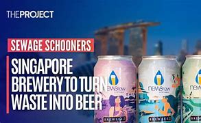Image result for Singapore beer sewage