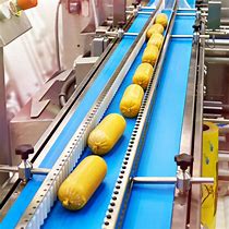 Image result for Food Conveyor Belt Product