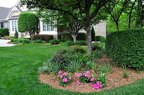 Image result for Cypress Mulch
