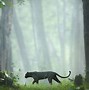 Image result for Black Panther in Jungle Water