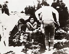 Image result for German Massacres
