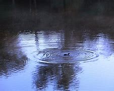Image result for long gone ripple in a pond