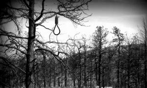 Image result for Hanging On a Tree