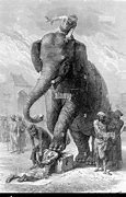 Image result for Robert Kerr Elephant Execution