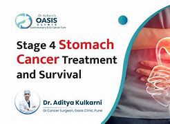 Image result for Stage 4 Stomach Cancer