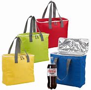 Image result for Insulated Freezer Bags