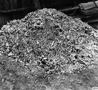 Image result for Pile of Dead Bodies