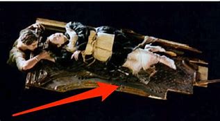 Image result for Titanic Rose On Door
