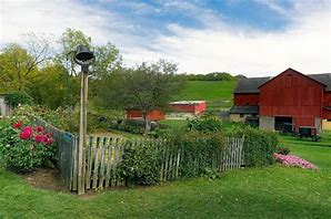 Image result for Amish Yard