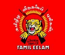 Image result for Tamil Tigers Flag