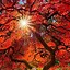 Image result for Autumn Trees Phone Wallpaper