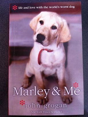 Image result for marley and me book