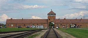 Image result for Auschwitz Tours
