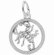 Image result for Scorpion Charm