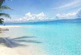 Image result for Cebu Beach