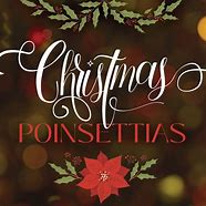 Image result for Lowe's Poinsettias Price