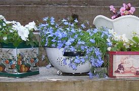 Image result for Repurposing Items in the Garden