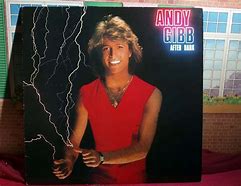 Image result for After Dark Andy Gibb