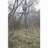 Image result for tripod deer stands