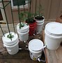 Image result for Build Self Watering Planter