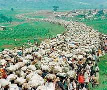Image result for War of Congo Rwanda and Burundi