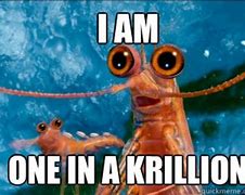 Image result for Krill Puns