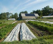 Image result for Sustainable Farm