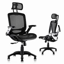 Image result for Ergonomic Office Chair with Headrest