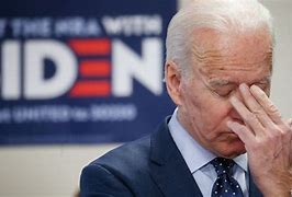 Image result for Joe Biden Hands-On
