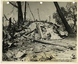 Image result for Japanese WWII Dead