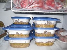 Image result for Lab Chest Freezer