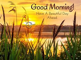 Image result for Good Morning Have a Wonderful Day