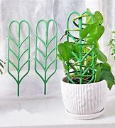 Image result for Plastic Plant Supports
