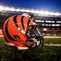 Image result for Bengals Pics