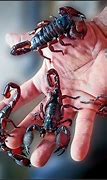 Image result for Red Emperor Scorpion