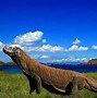 Image result for Taman Nasional Komodo