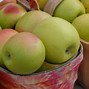 Image result for What's the Biggest Apple Ever