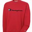 Image result for Grey Red Champion Hoodie